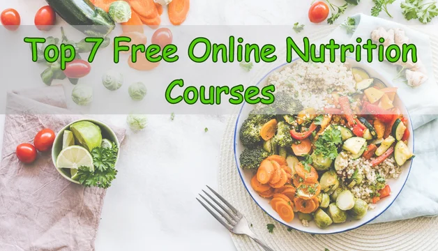 Best 8 Free Online Nutrition Courses With Certificate Of